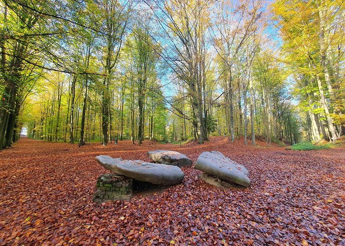 Hambos Top 10 Most Beautiful MTB Trails around Leuven | Komoot photo