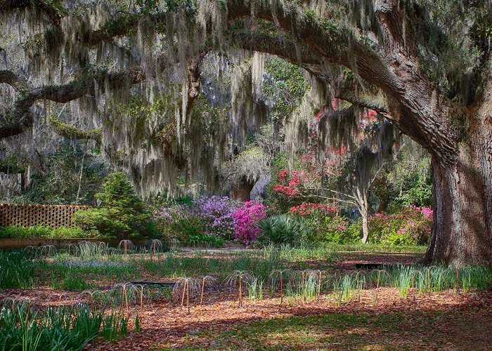 Brookgreen Gardens Brookgreen Gardens - SC Picture Project photo