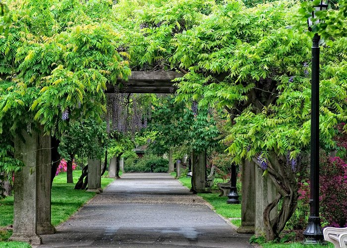 Brooklyn Botanical Gardens Brooklyn Botanic Garden – Park Review | Condé Nast Traveler photo