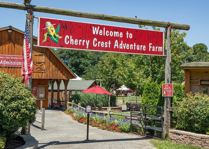 Cherry Crest Adventure Farm Vacation Homes near Cherry Crest Adventure Farm, Ronks: House ... photo