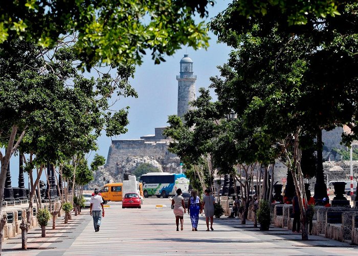 Paseo del Prado El Paseo del Prado de Madrid: una idea de éxito replicada en La ... photo