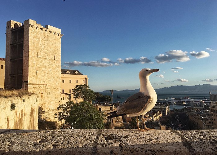 Torre dell'Elefante Tower of the Elephant Tours - Book Now | Expedia photo