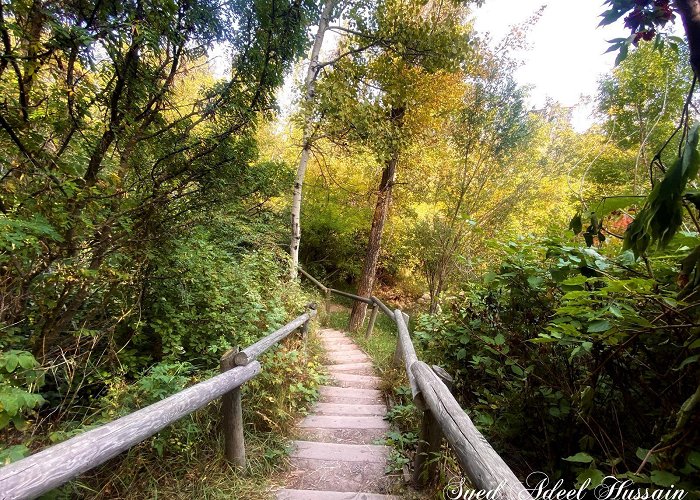 Edworthy Park Douglas Fir Trail, Edworthy Park, Calgary : r/alberta photo