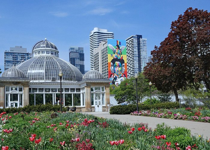 Allan Gardens Allan Gardens Conservatory — Park Review | Condé Nast Traveler photo