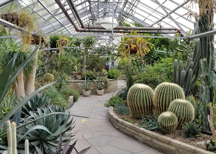 Allan Gardens I went to the Allan Gardens conservatory (in Toronto, Canada) this ... photo