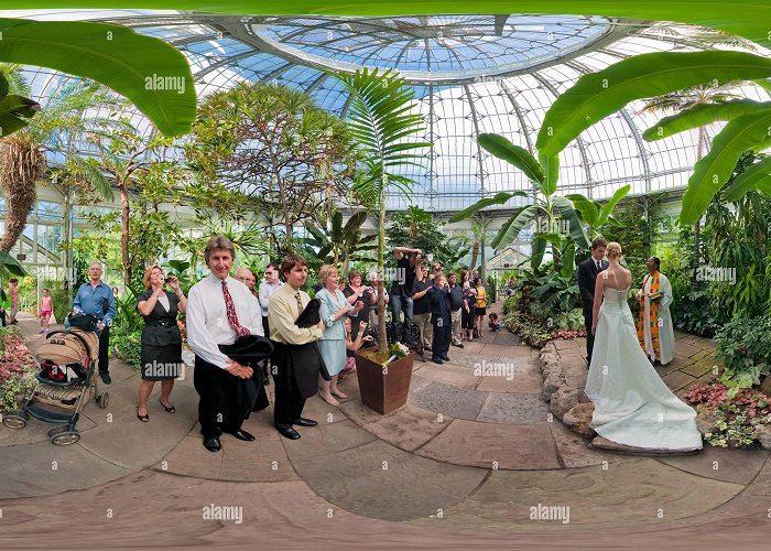 Allan Gardens 360° view of Allan Gardens Conservatory Toronto Wedding Scene - Alamy photo