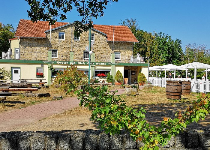 Wittelsbacher Turm Wittelsbacher Turm Bräu - rhönführer.de photo