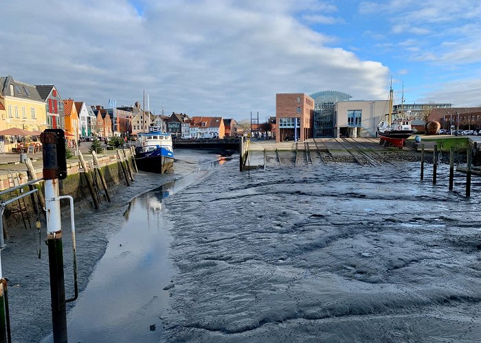 Husumer Bucht WWF Tour Husum: Harbor, Mudflats and Wide Views • Hiking route ... photo