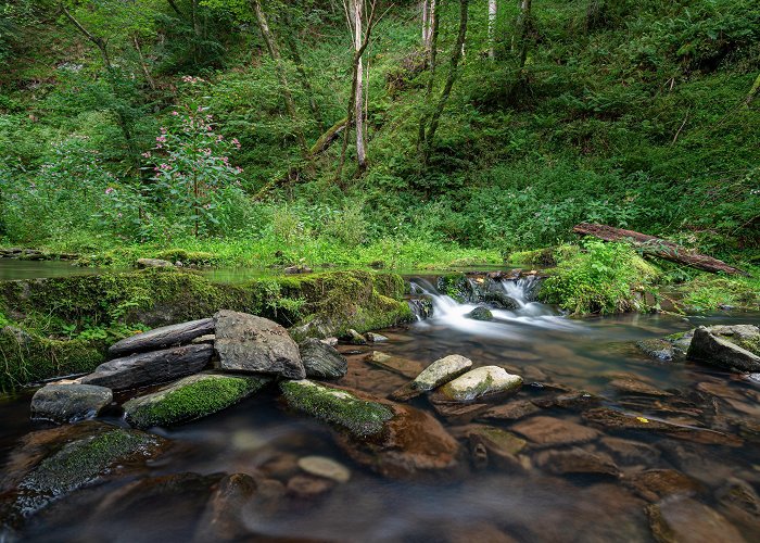 nationalpark High Fens – Eifel Nature Park Tours - Book Now | Expedia photo