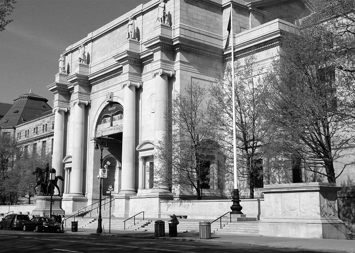 American Museum of Natural History MAS Testimony for the American Museum of Natural History Expansion ... photo