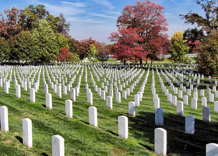 Arlington National Cemetery Arlington National Cemetery - Fat Tire Tours photo