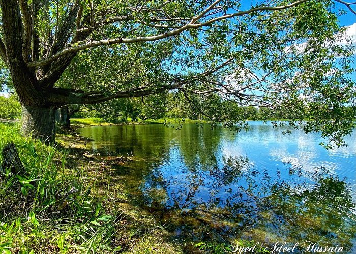 Carburn Park Carburn Park this afternoon, Calgary : r/alberta photo