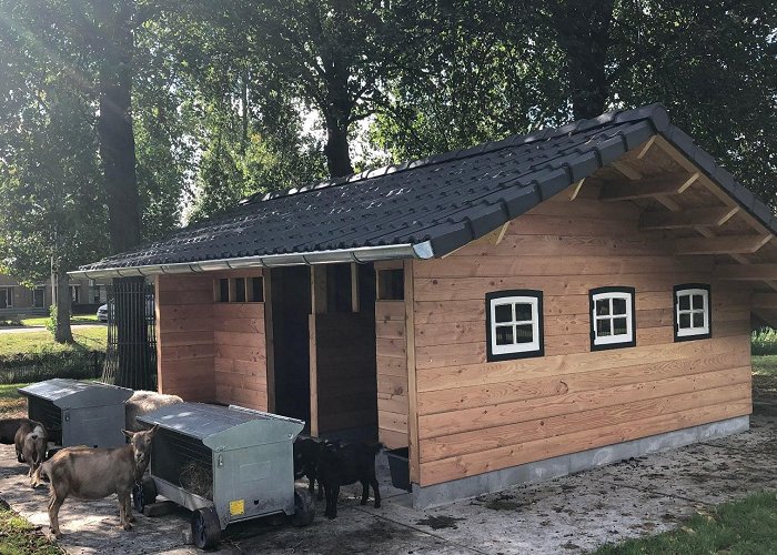 Kinderboerderij 't Erf Nieuwe schuilstal voor Kinderboerderij 't Erf (Video) photo