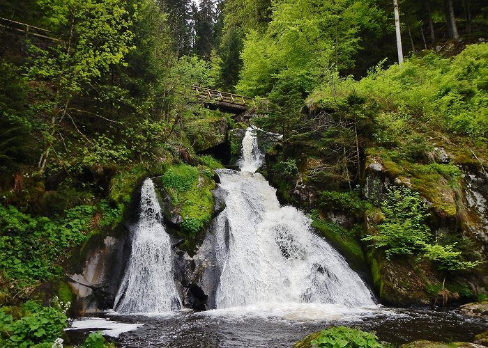 Triberg Waterfalls Triberg Waterfall Tours - Book Now | Expedia photo