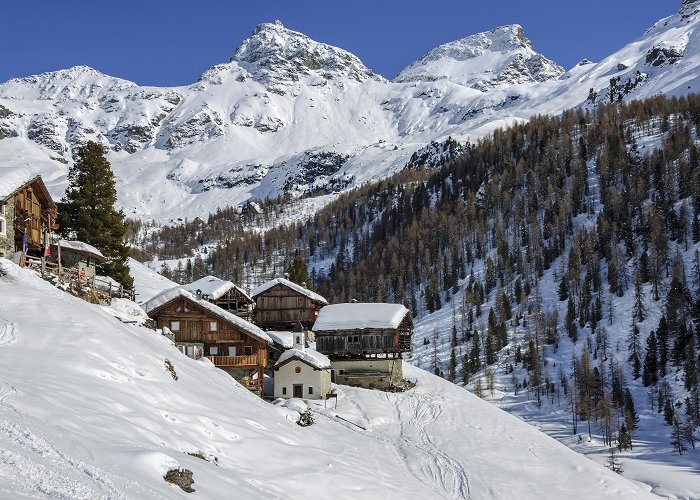 Alpe Mandria Things to Do in Champoluc in 2024 | Expedia photo