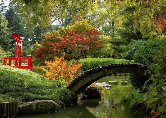 Brooklyn Botanical Gardens Brooklyn Botanic Garden is hosting a fall foliage outing with live ... photo