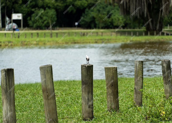 Tijuca Lake Premium Photo | View of bosque da barra located in barra da tijuca ... photo