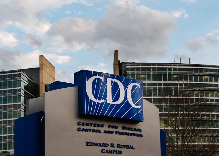 Centers for Disease Control and Prevention (CDC) Defense-Tied Firm Destroys CDC Program to Combat Opioid Crisis photo