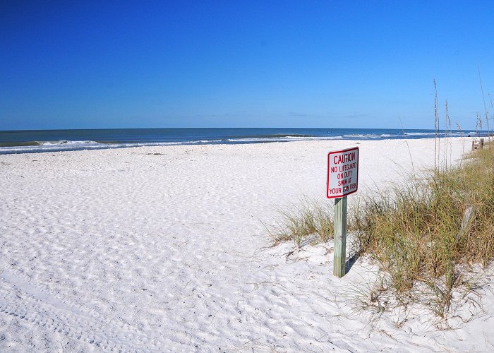 Caladesi Island State Park Visit Caladesi Island State Park: Best of Caladesi Island State ... photo