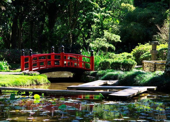 Rio de Janeiro Botanical Gardens Best Time to See Botanical Garden or Jardim Botânico in Rio de ... photo