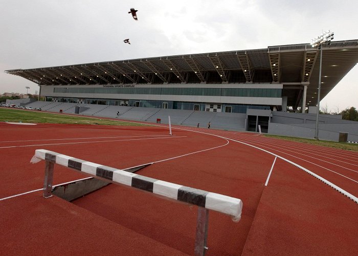 Thyagaraj Stadium  India 'punishes' bureaucrat couple after stadium dog walk furore ... photo