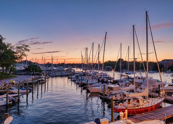 Annapolis Harbor Visit Annapolis - Arrive By Water photo