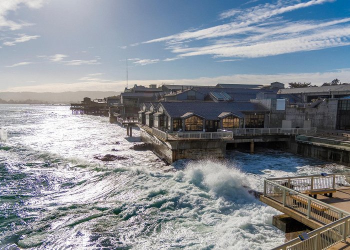 Monterey Bay Aquarium Monterey Bay Aquarium, Monterey, California, U.S. - Museum Review ... photo