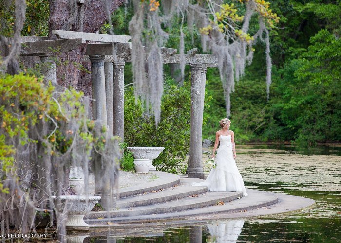 Airlie Gardens Fine Art Bridal Photography | Chris Lang Weddings | Bridal Ideas ... photo