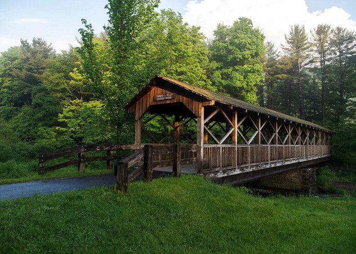 Allegany State Park Allegany State Park-Red House Area | Salamanca, NY 14779 photo