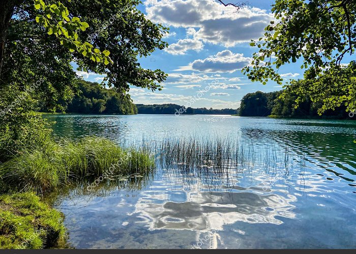 Liepnitzsee Lake Liepnitzsee Brandenburg Summer Germany Stock Photo by ... photo