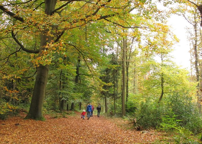 Groepsaccommodatie de VEENHORST Buitenhuis De Veenhorst Midlaren - Natuurlijk Noorden photo