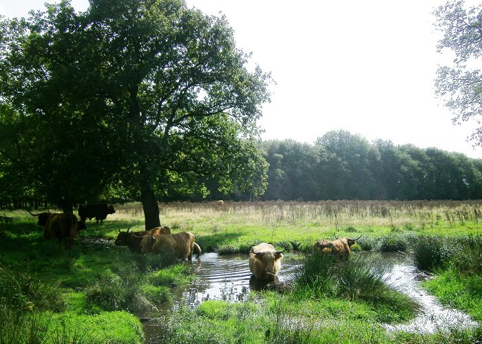 Groepsaccommodatie de VEENHORST Buitenhuis De Veenhorst Midlaren - Natuurlijk Noorden photo