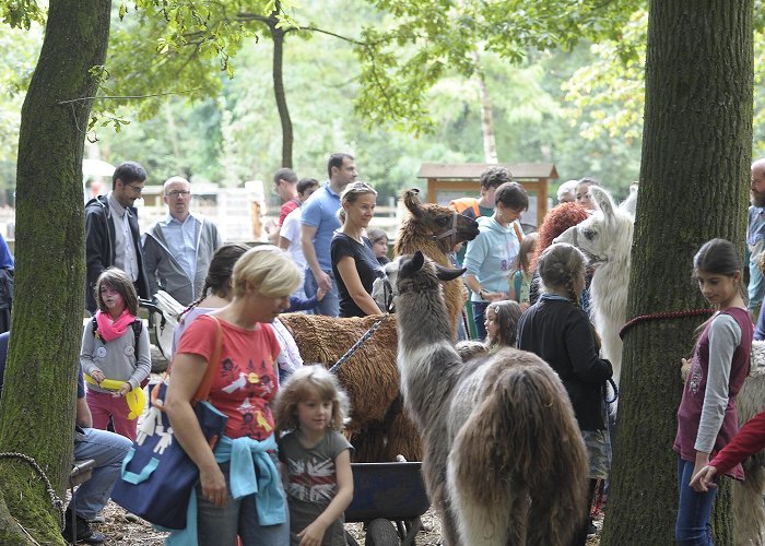 Wildpark Ludwigshafen-Rheingönnheim Familientag im Wildpark Rheingönheim abgesagt - Ludwigshafen - DIE ... photo