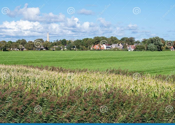 Watertower Banckspolder Stock Photos - Free & Royalty-Free Stock Photos from ... photo