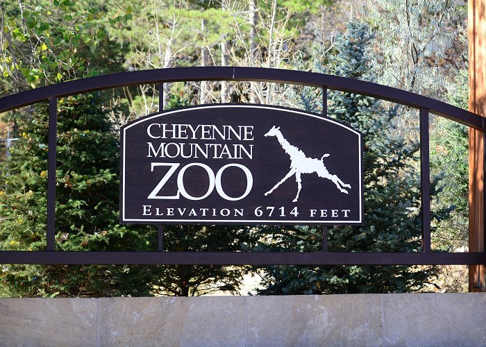 Cheyenne Mountain Zoo Cheyenne Mountain Zoo Reopens After Damaging Hail Storm photo