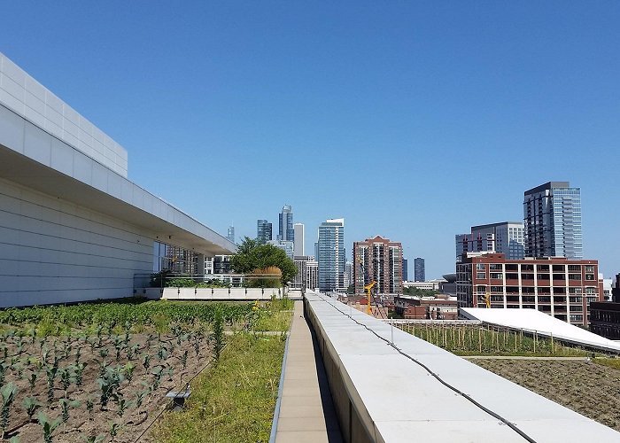 McCormick Place McCormick Place Rooftop Farm · Sites · Open House Chicago photo