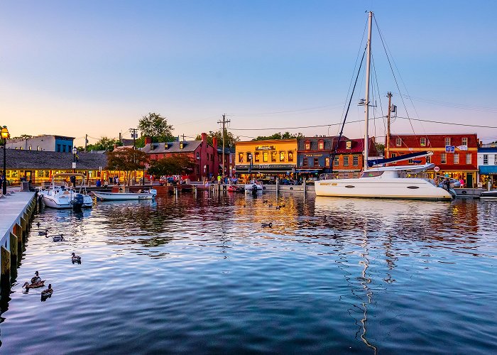 Annapolis Harbor Visit Annapolis - City Dock photo