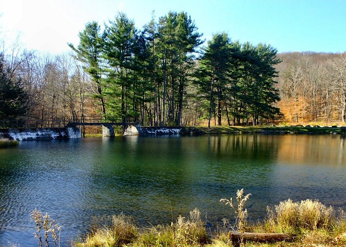 Allegany State Park Allegany State Park, a New York State Park located near Bradford ... photo