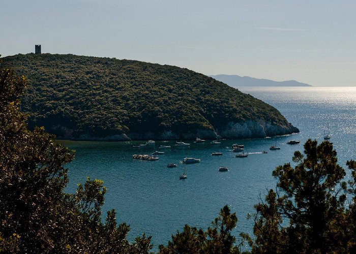 Uccellina Park Agriturismo Il Migliarino Rispescia Grosseto Parco della Maremma photo