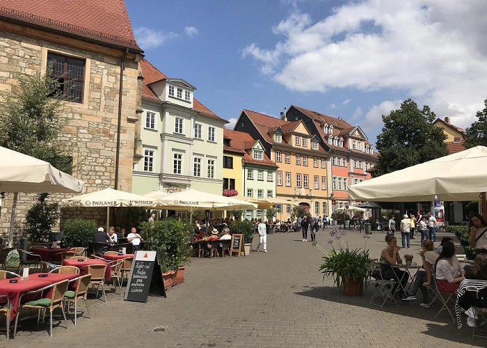 Haus zum Alten Schwan 12 fun things to do in Erfurt, Thuringia Germany photo