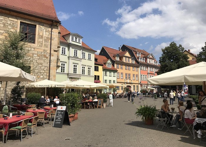 Haus zum Alten Schwan 12 fun things to do in Erfurt, Thuringia Germany photo