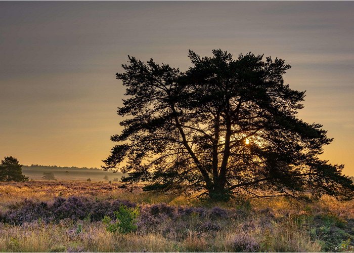 Ronde Huis Markermeer Lelystad | Photography, Explore photo