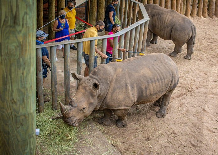 Brevard Zoo Brevard Zoo Animal Adventures photo