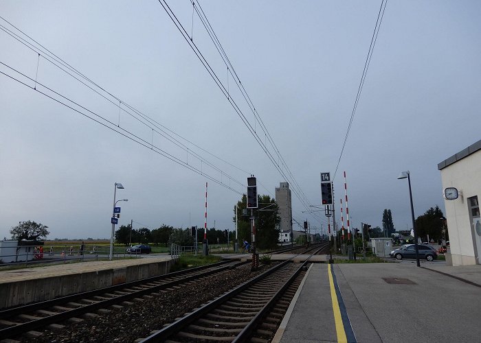 Bahnhof Bad Neusiedl am See 07 Grenzlandweg, 23. Etappe: Kittsee - Nickelsdorf - BERGFEX ... photo