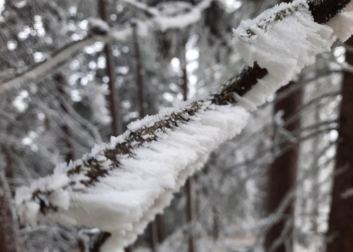 Gauermann Museum Wintery spring tour on the north side of the Hohe Wand • Hiking ... photo