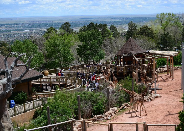 Cheyenne Mountain Zoo Cheyenne Mountain Zoo places in top 10 best zoos in North America ... photo