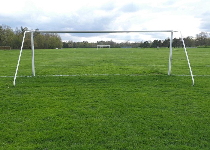 Sunnybrook Park Athletic fields viewed through soccer go... | Stock Video | Pond5 photo