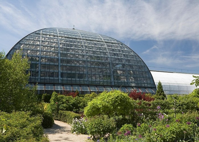 Garfield Park Conservatory Garfield Park Conservatory – Garden Review | Condé Nast Traveler photo