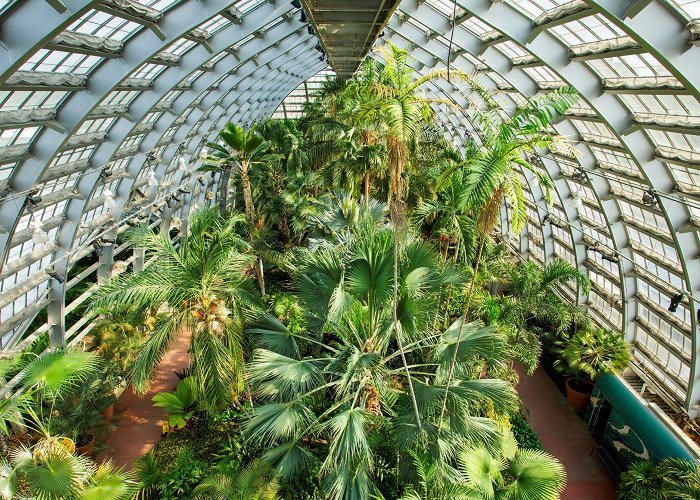 Garfield Park Conservatory Garfield Park Conservatory – Garden Review | Condé Nast Traveler photo