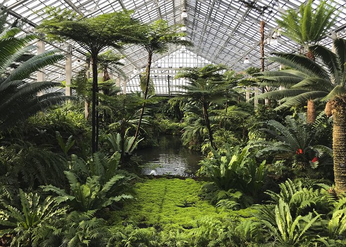 Garfield Park Conservatory Plantasia at Garfield Park Conservatory | Music in Chicago photo